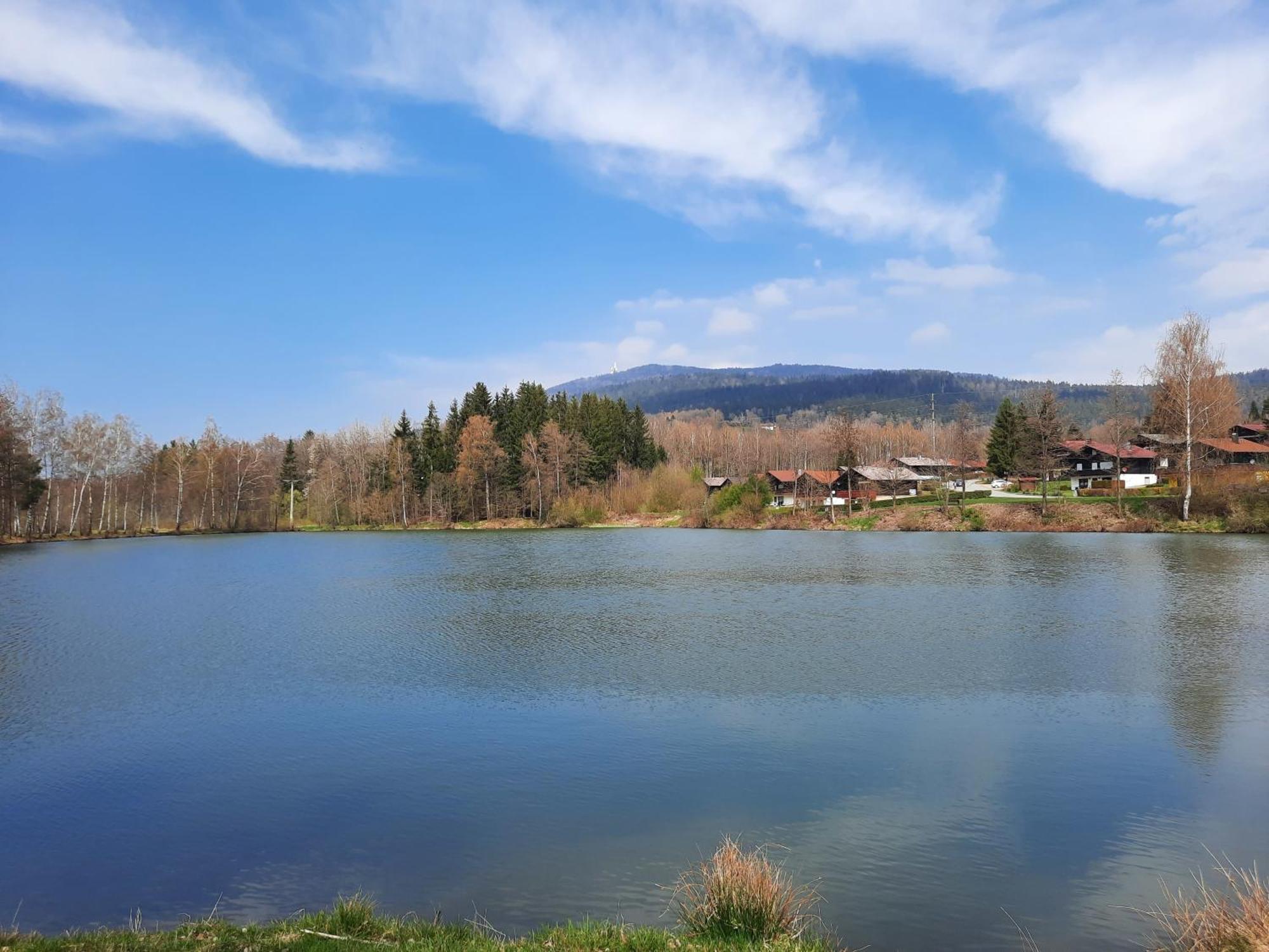 Fewo Bayerischer Wald Im Lamer Winkel Arrach Ngoại thất bức ảnh
