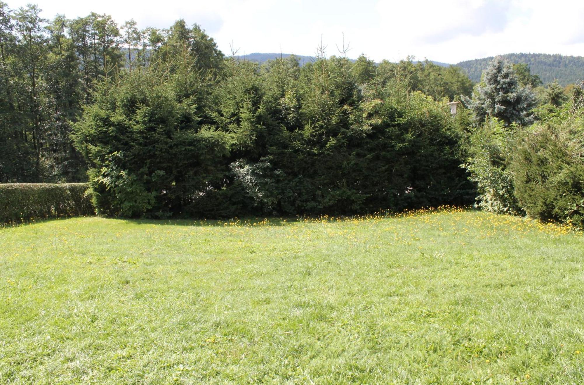 Fewo Bayerischer Wald Im Lamer Winkel Arrach Ngoại thất bức ảnh